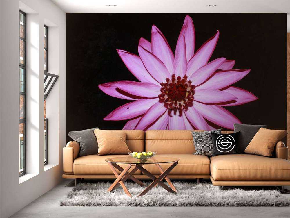 Lotus flower from above