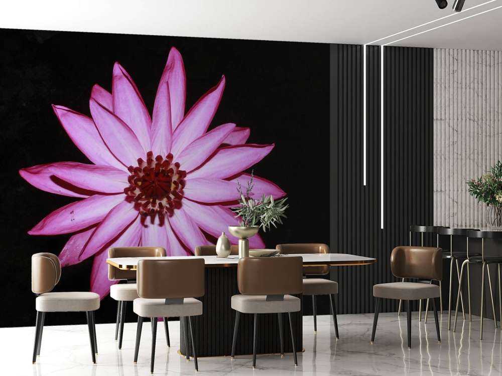 Lotus flower from above