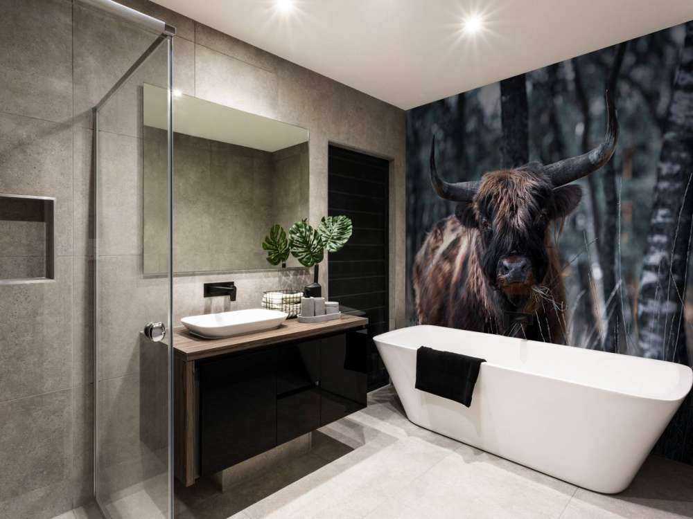 Scottish Highlander