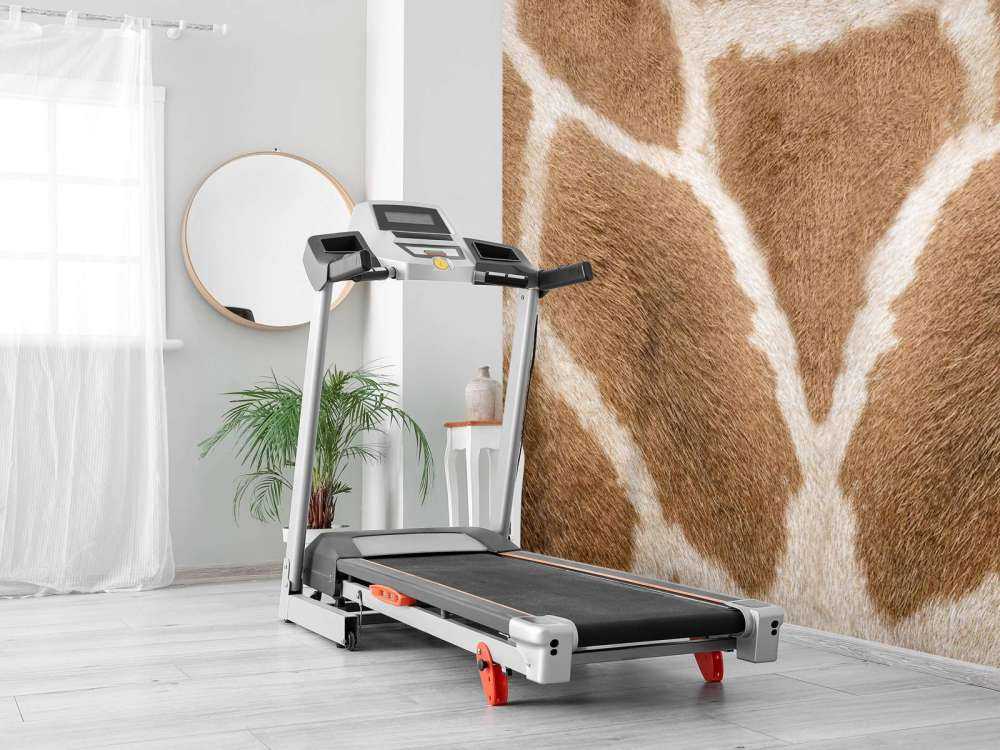 Giraffe skin