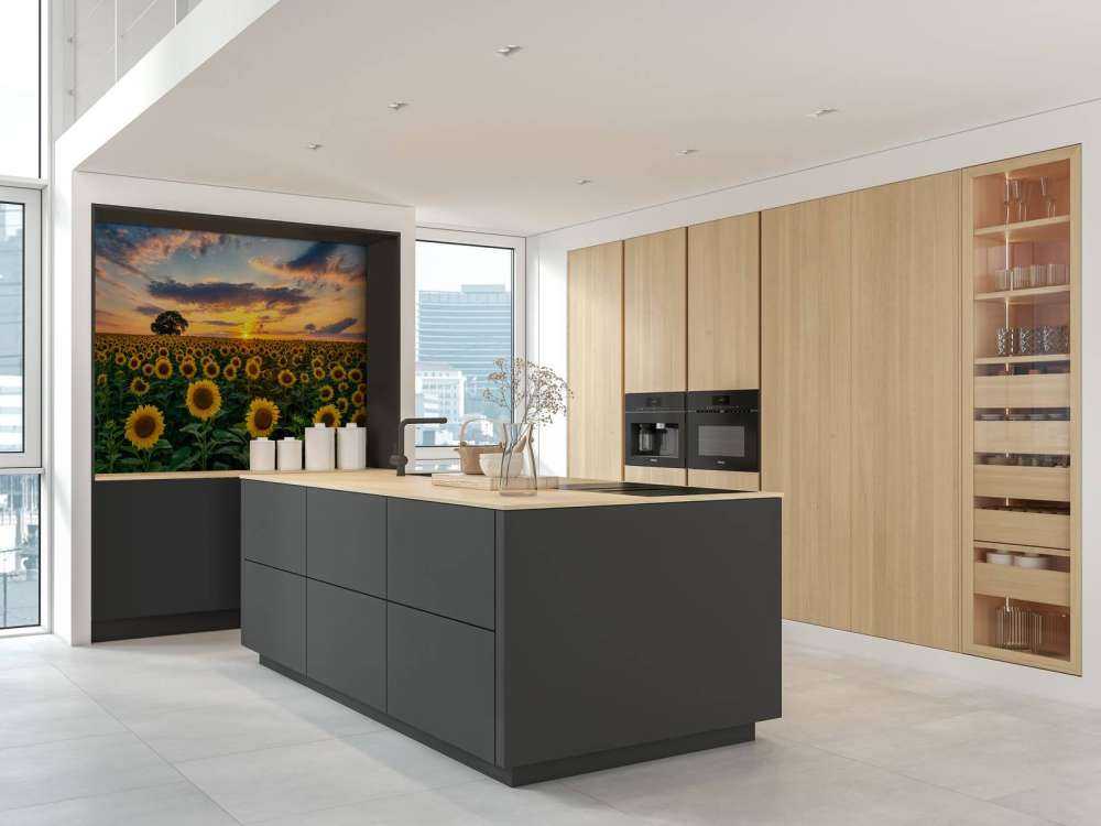 Field full of sunflowers