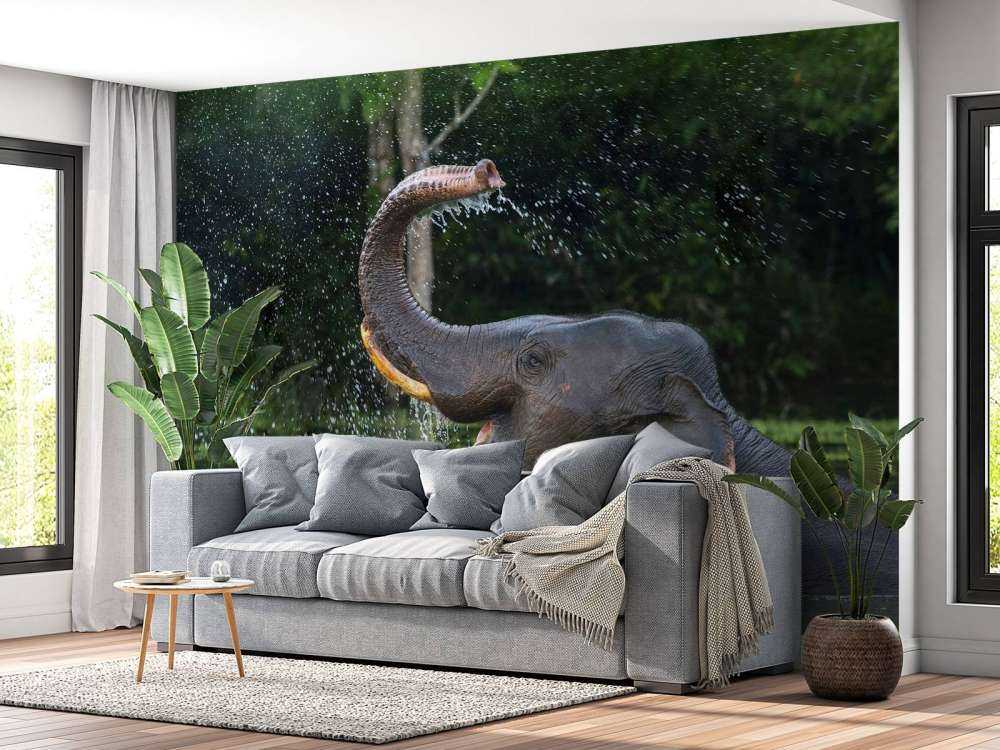Elephant in water