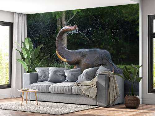 Elephant in water