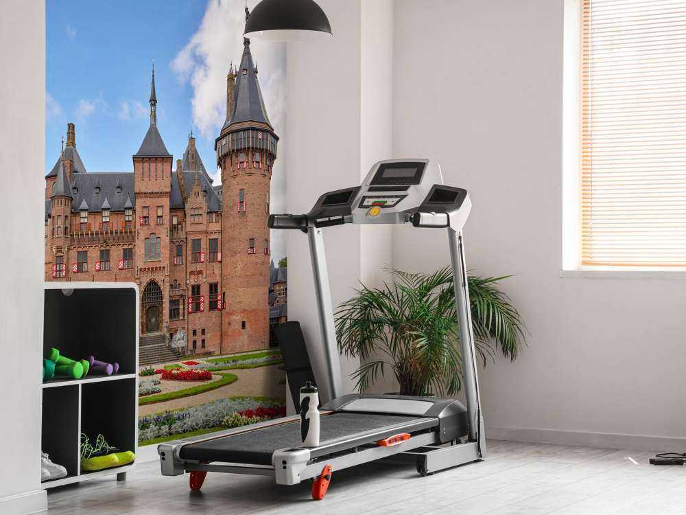 Castle de Haar frontside