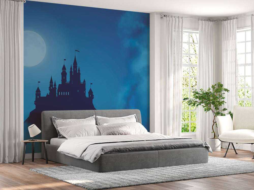 Castle with moonlight