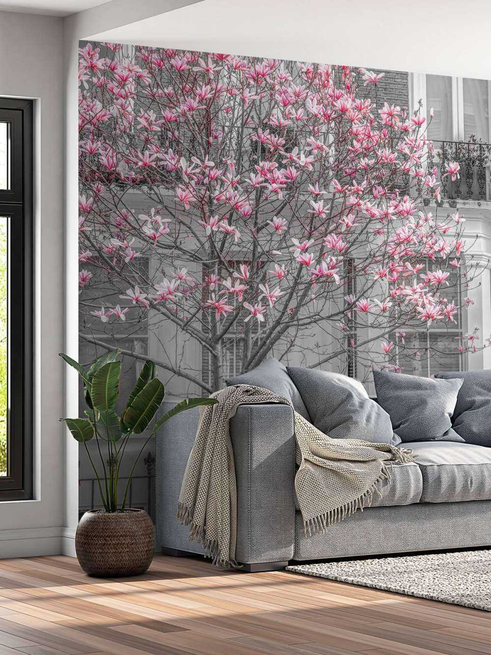 Flowering magnolia tree