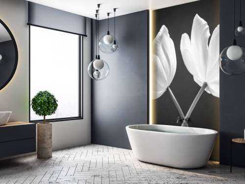 Crossed tulips