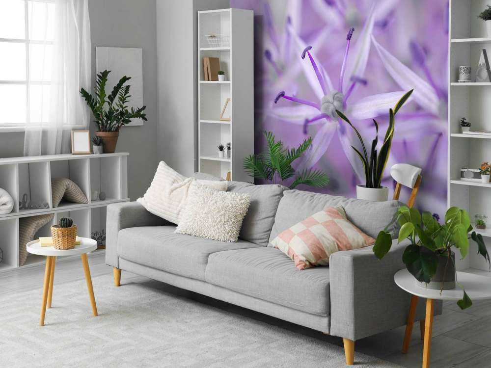 Purple allium flowers