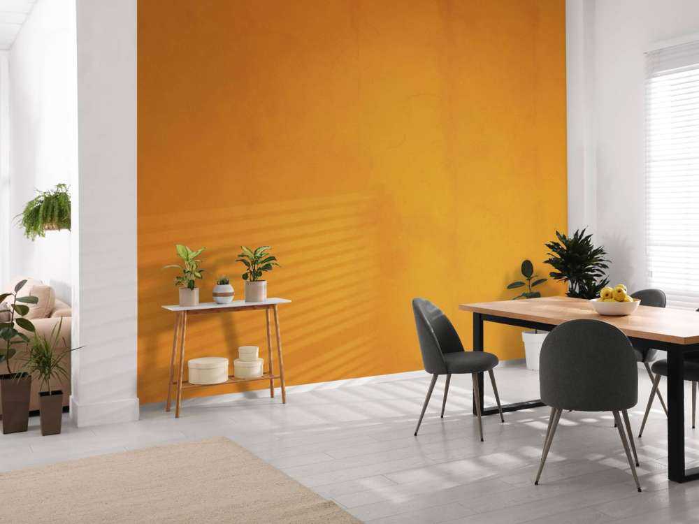 King's day orange concrete