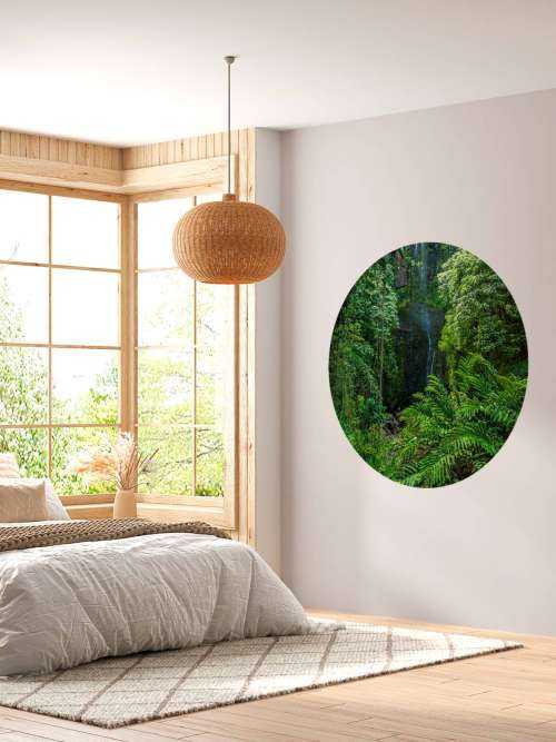 Jungle and stones