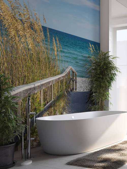Beach Path