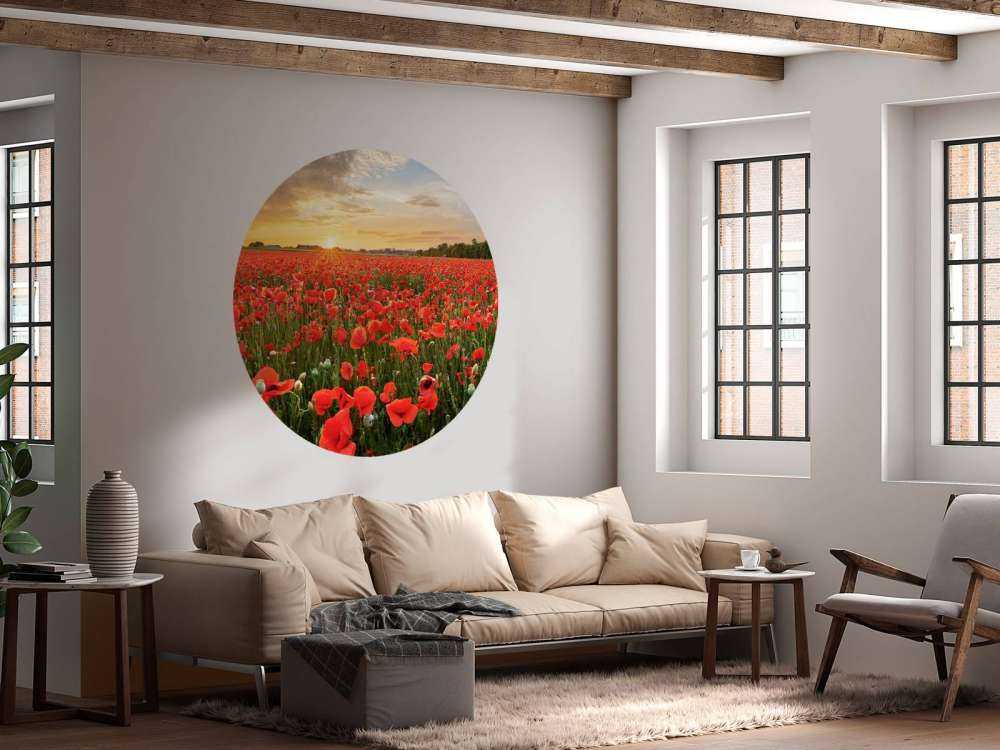 Sunset with poppies