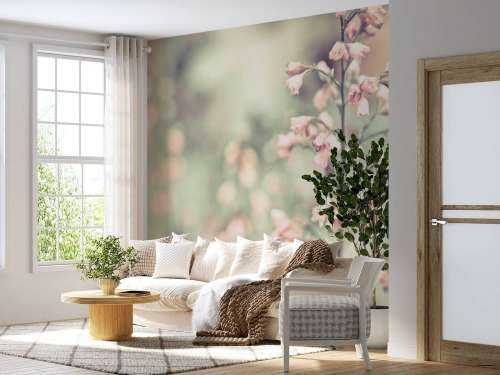 Heuchera