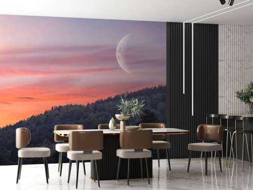 The moon