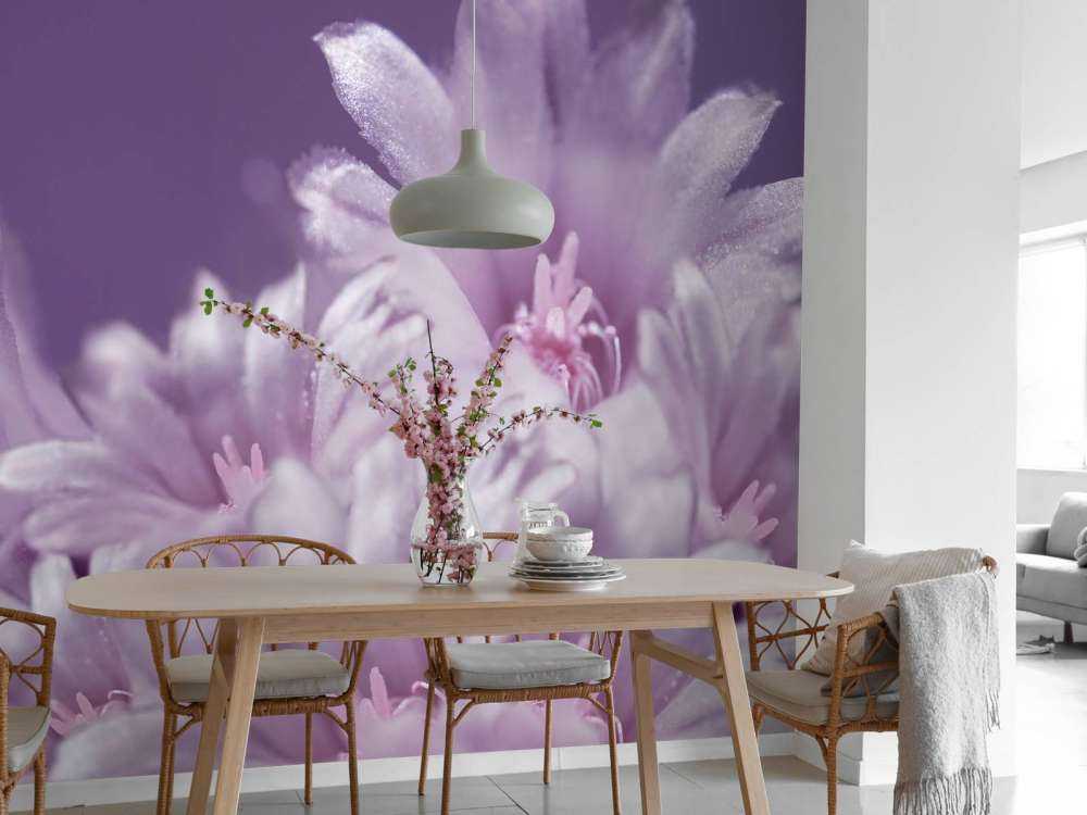 Roze bloemen met een paarse achtergrond