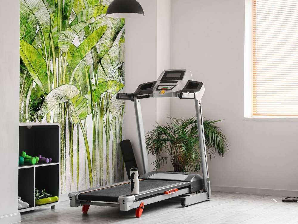 Large drawn palm leaves