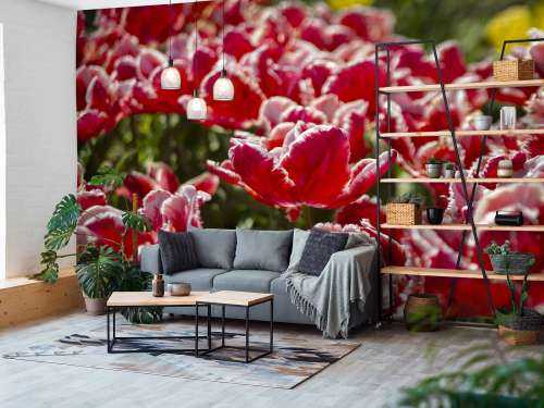 Red Tulips