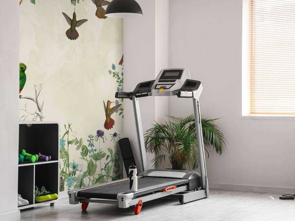 Fields of Colorful Birds