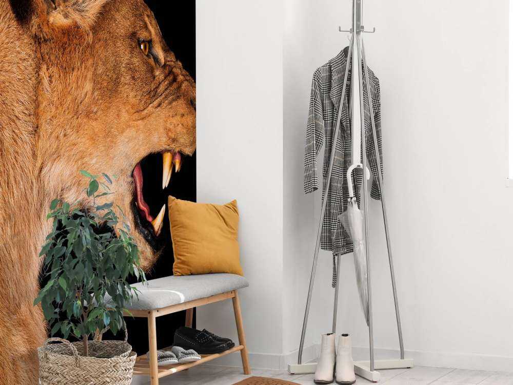 Lioness side view
