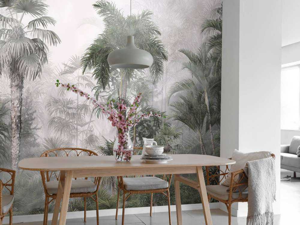 Morning Mist in the Tropics