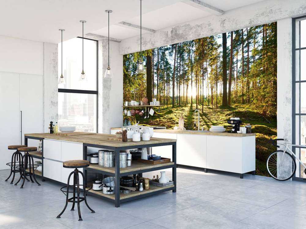 Pine forest