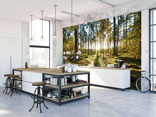 Pine forest