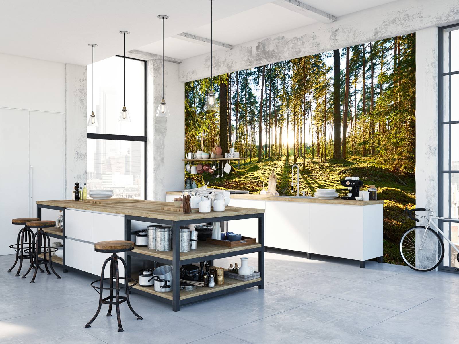 Pine forest