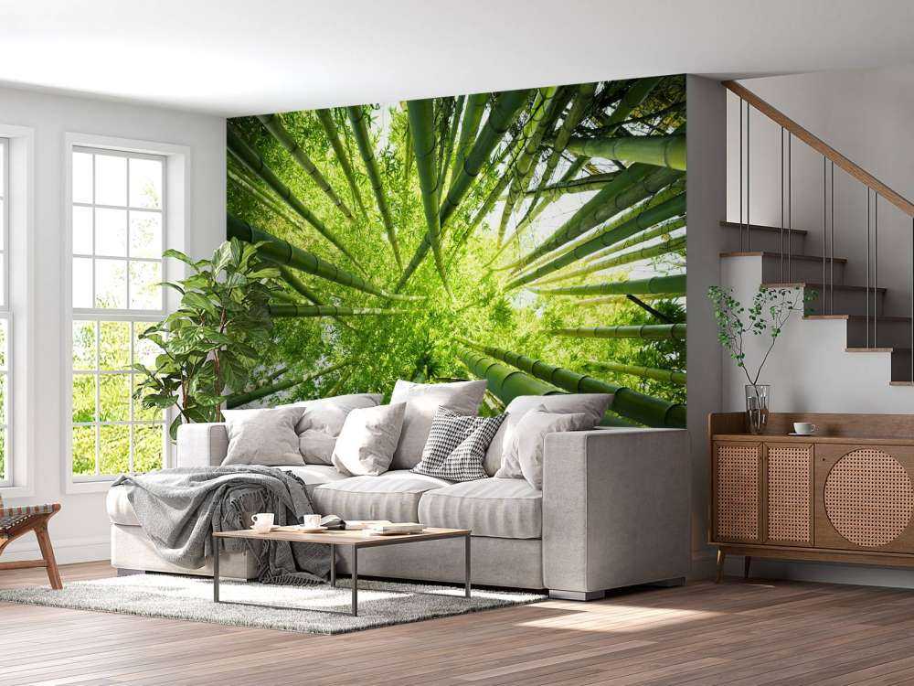 Bamboo