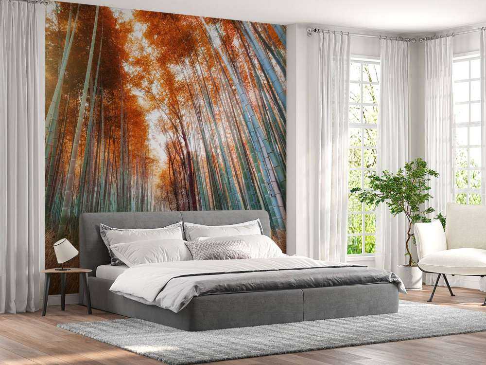 Autumn bamboo forest