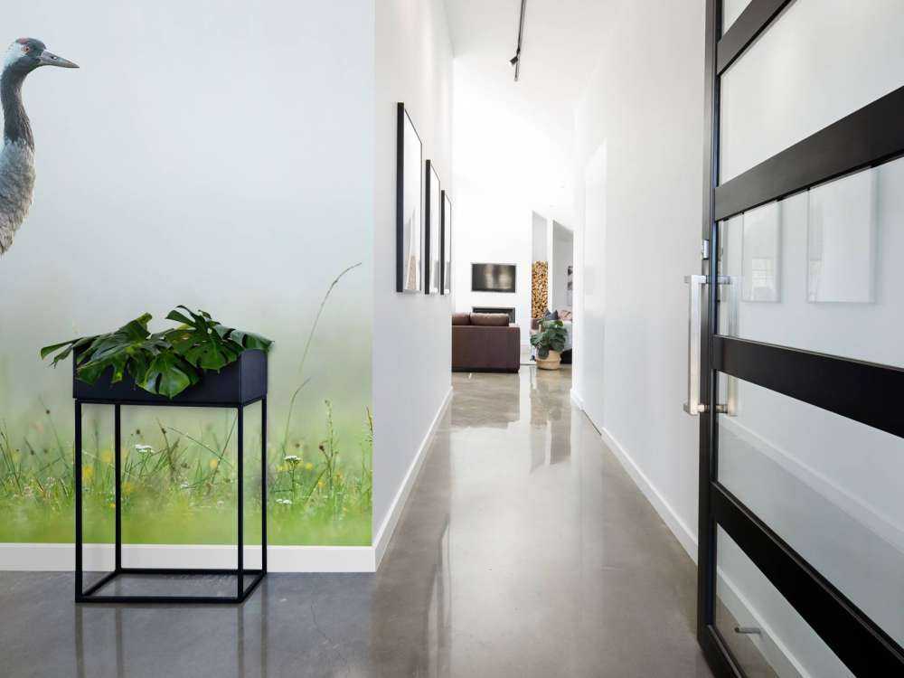 Crane in the morning mist