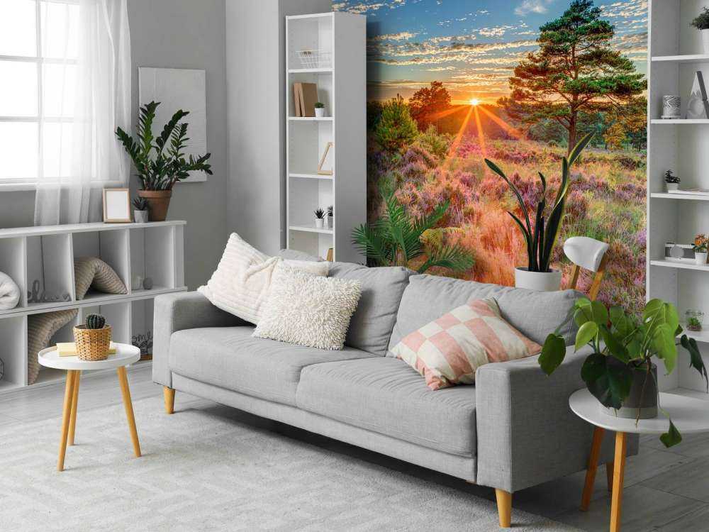 Sunset in the country