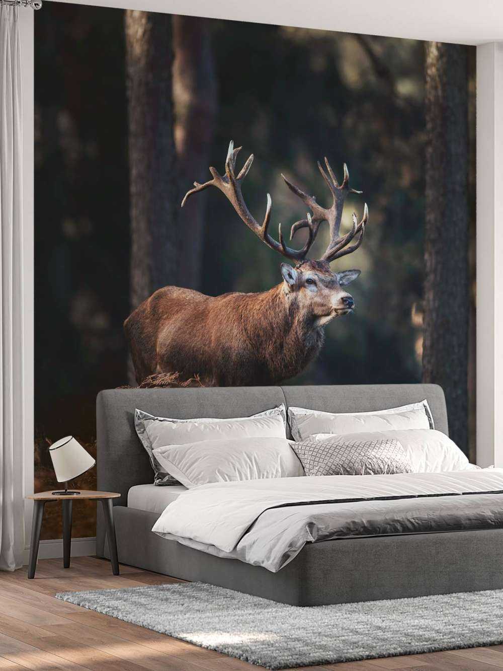 Deer on a hill