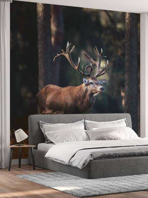 Deer on a hill