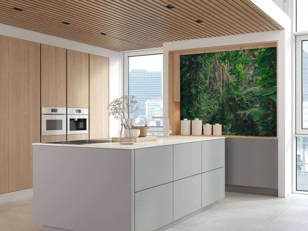 Branches in the rainforest