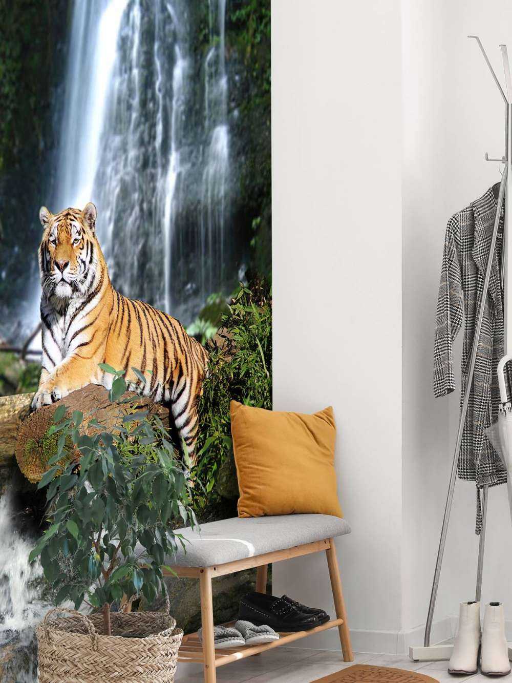 Tiger in the jungle