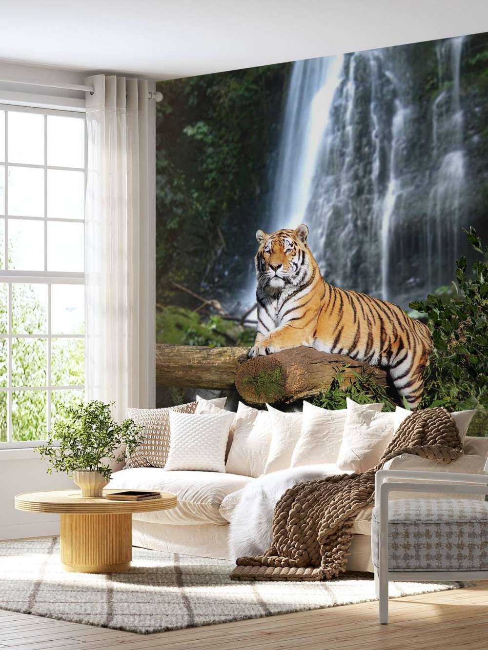 Tiger in the jungle