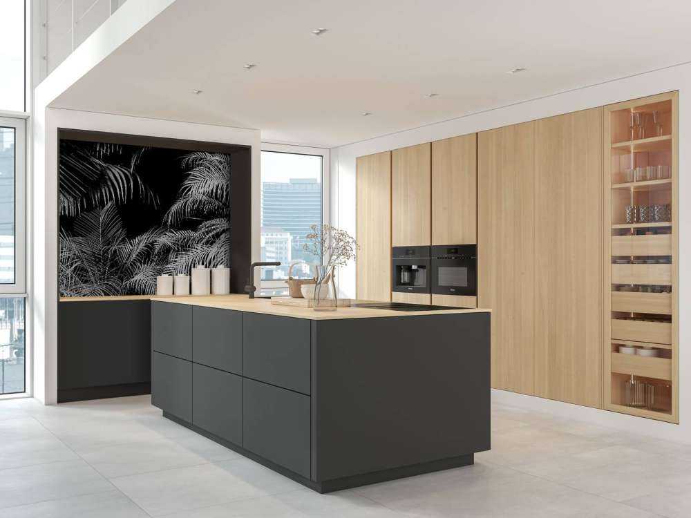 Plant with white leaves