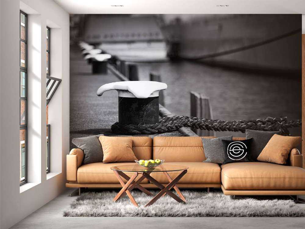 Moored passenger ship  