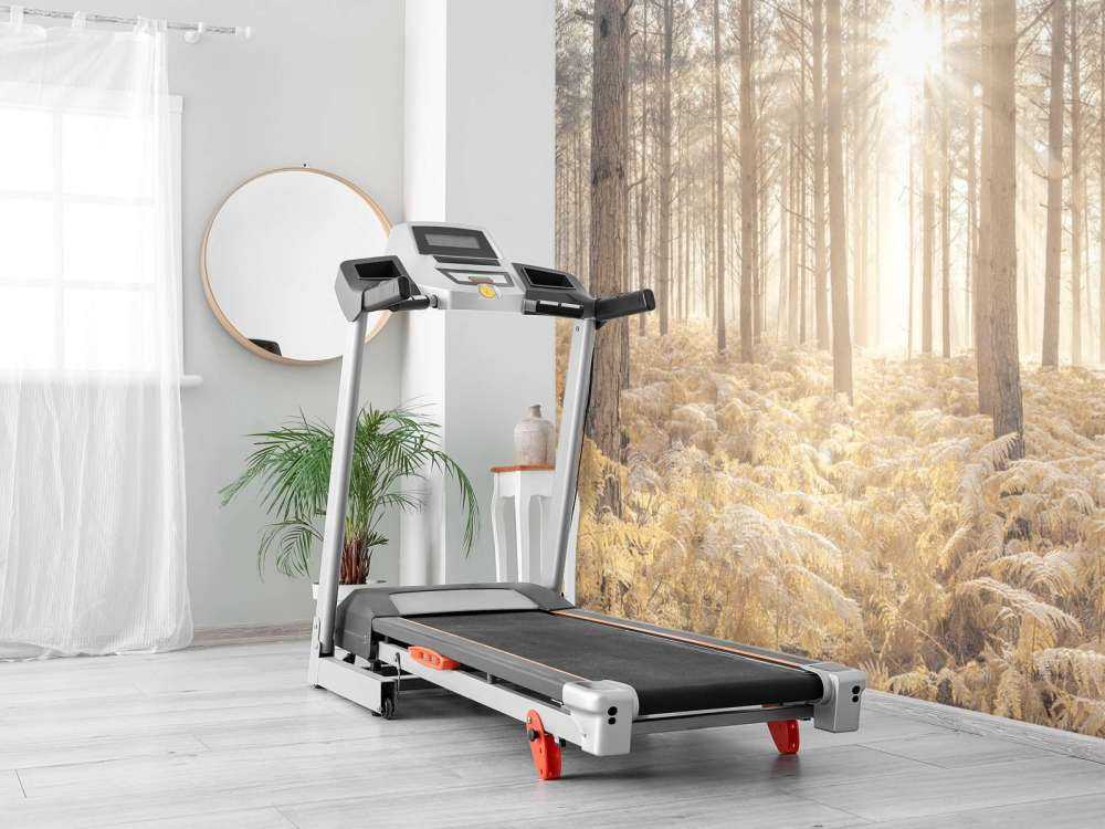 Sun rays in the cold forest