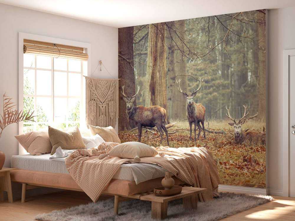 Wild deer