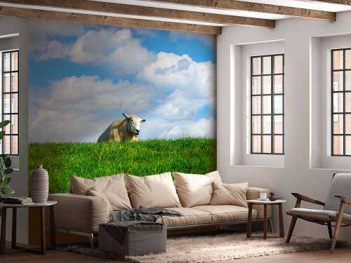 Sheep on the dike