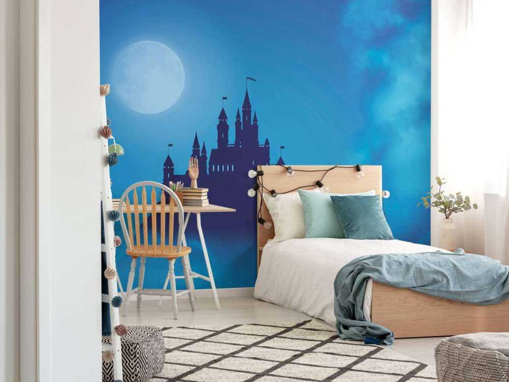 Castle with moonlight