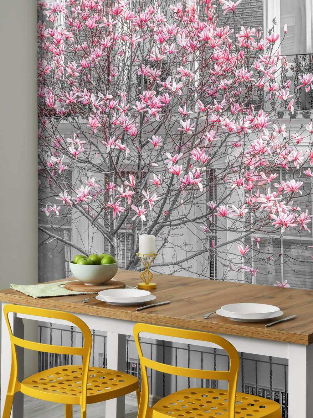 Flowering magnolia tree