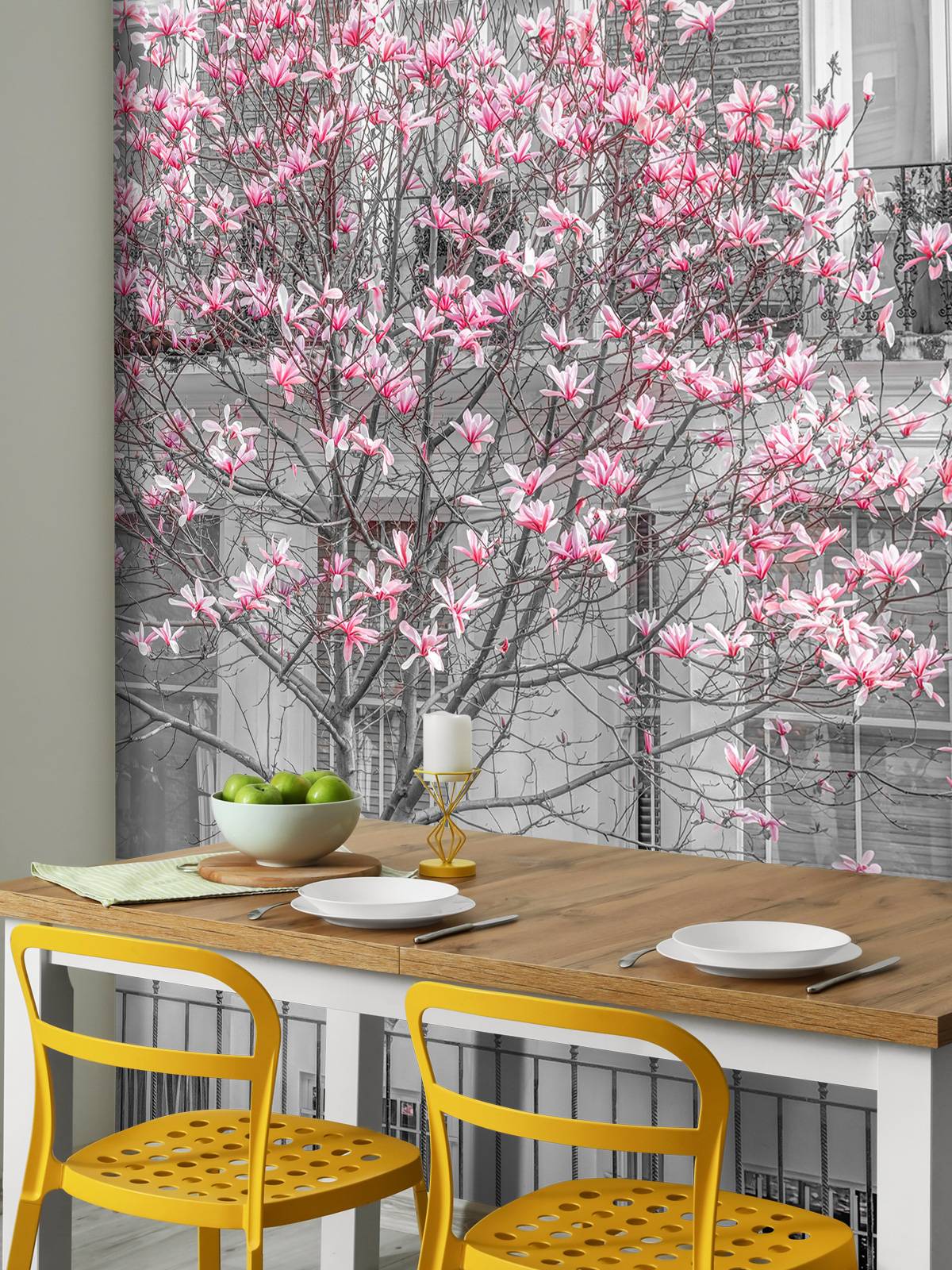 Flowering magnolia tree