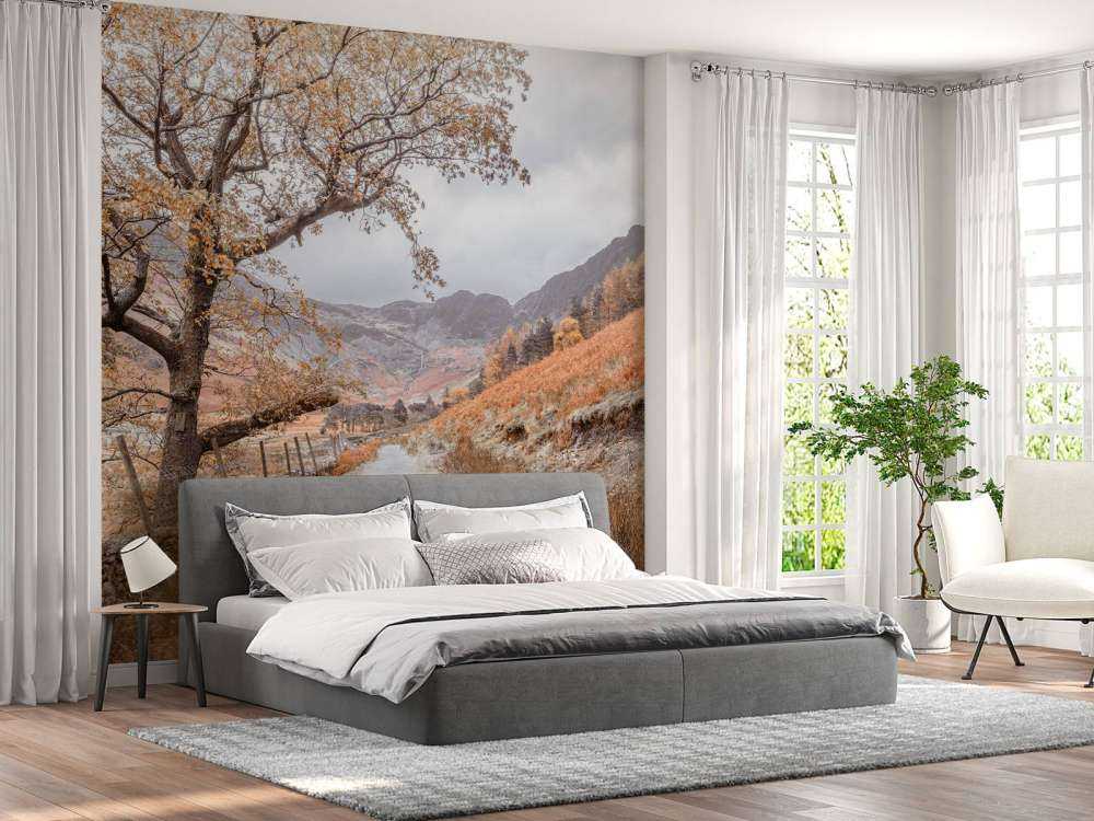 Path between the mountains