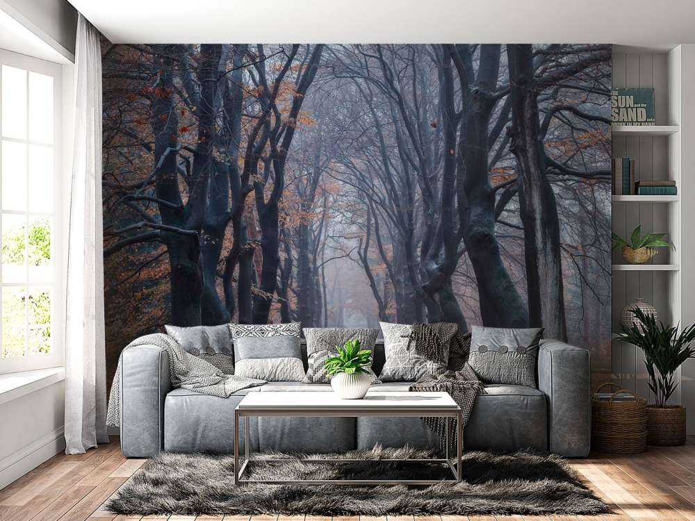 Forest path with leaves