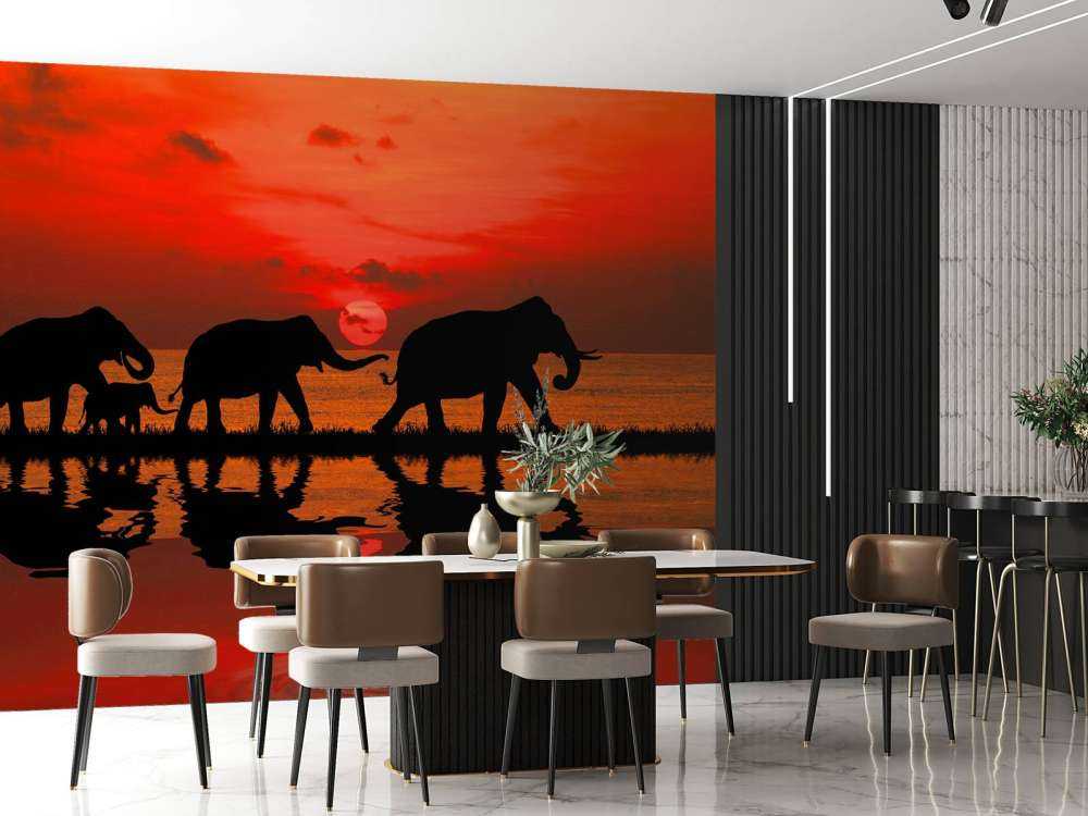 Olifanten en zonsondergang