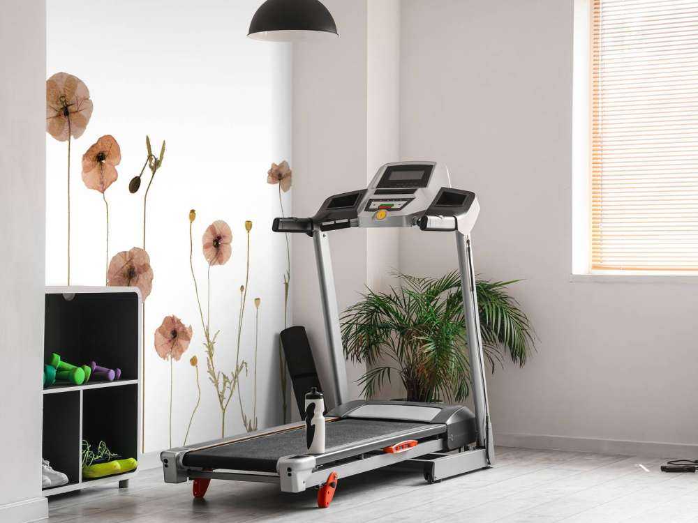 Poppy flower field colourful