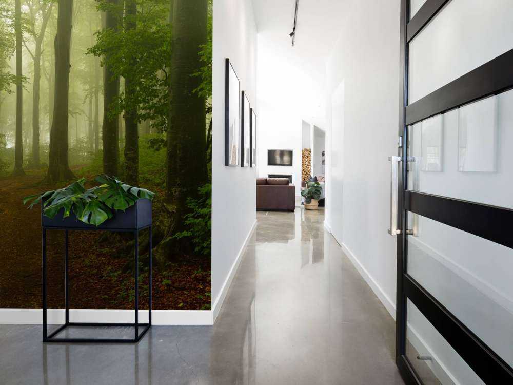 Path through misty green forest