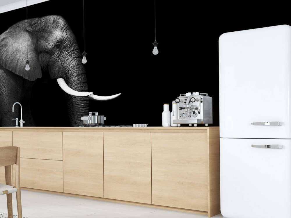 Elephant on grass